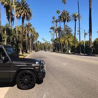 Отзыв от Эдуард - DTV виза